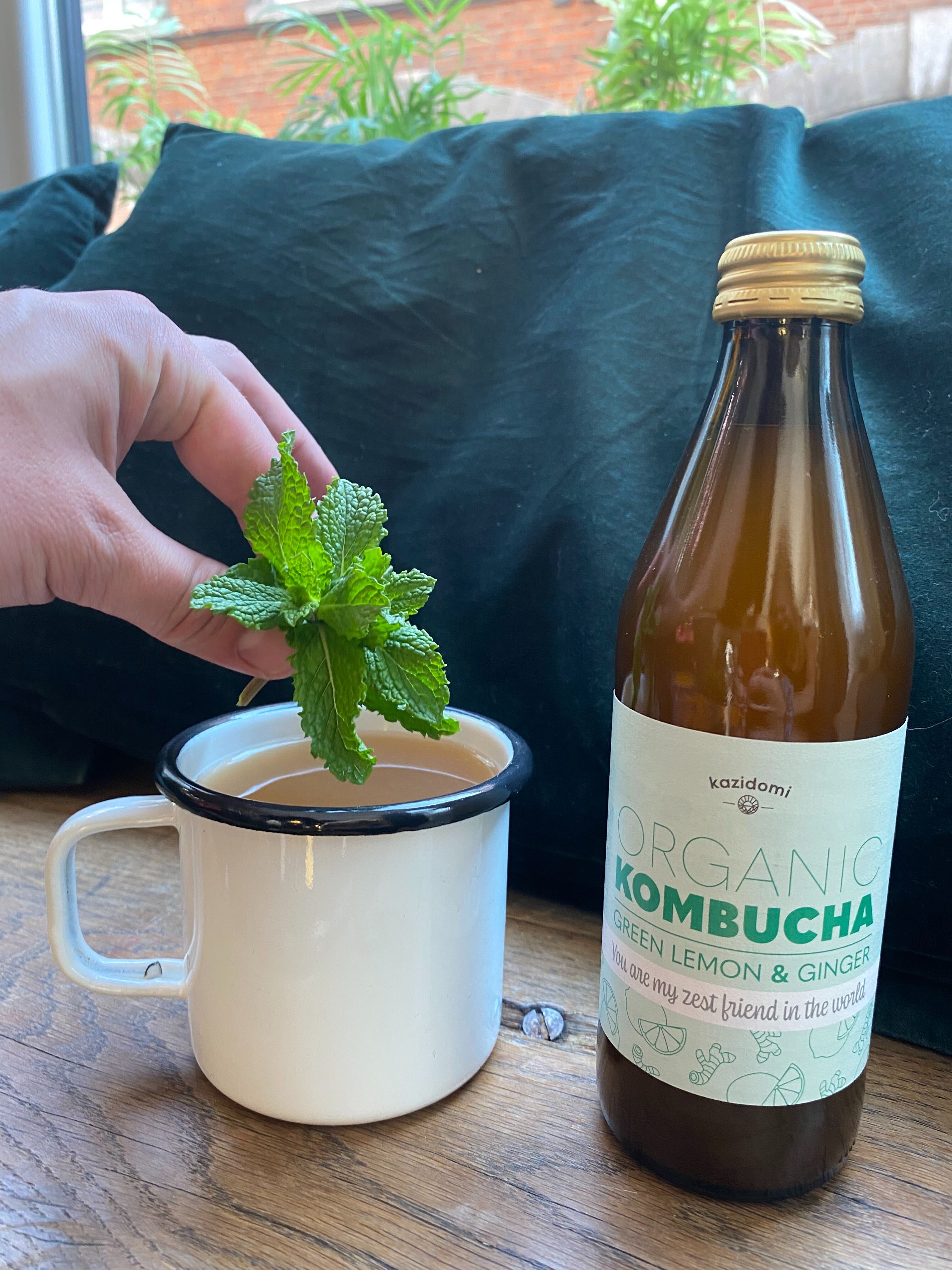 Warme Kombucha